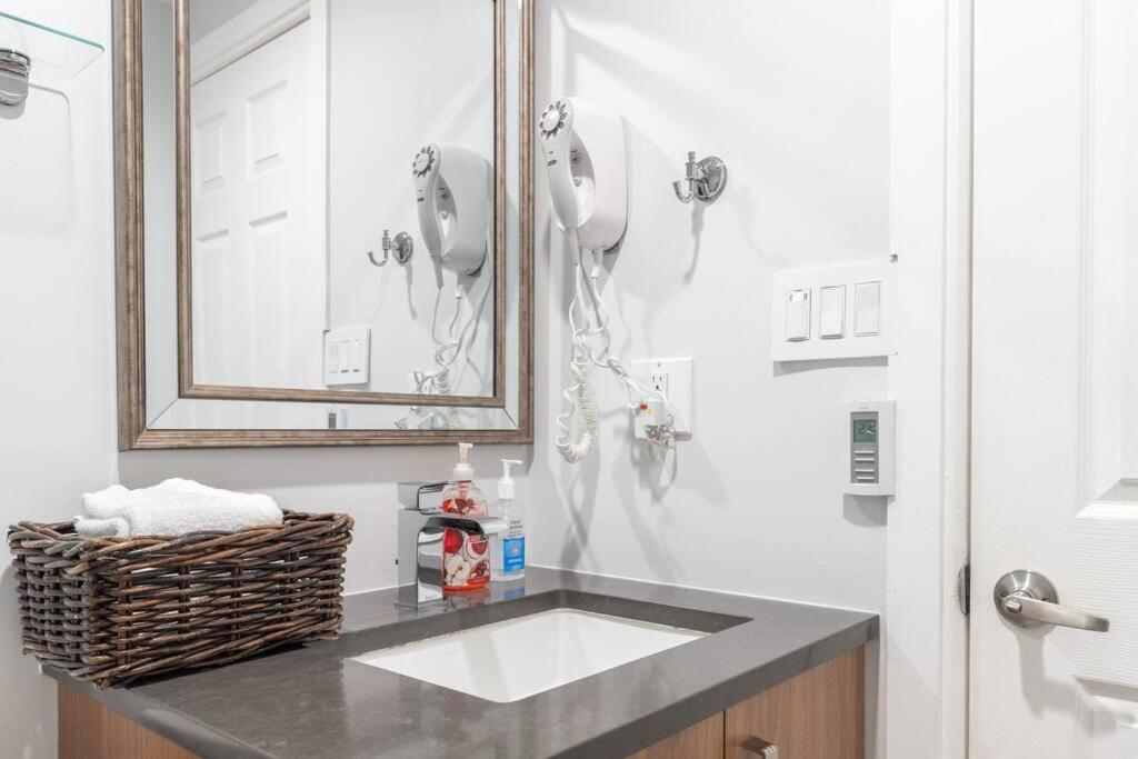 Apartment Updated Creekside Studio With Free Parking